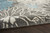 5' X 7' Blue And Gray Floral Area Rug