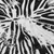 8' Ivory Black And Gray Round Abstract Washable Indoor Outdoor Area Rug