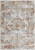 4' X 6' Gray And Beige Distressed Ornate Area Rug