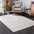 4' X 6' Modern Gray Distressed Area Rug