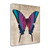 Butterflies Iv Wrapped Canvas Print Wall Art