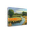 California Orange 1 Wrapped Canvas Print Living Room Wall Art