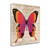 Butterflies Iii Wrapped Canvas Print Wall Art