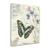 Papillon Tales I Wrapped Canvas Print Living Room Wall Art