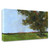 "Autumn Oak And Empty Fields" Wrapped Canvas Print Wall Art