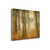 Oak Grove In Fog 4 Wrapped Canvas Print Wall Art