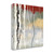 Silver Birch II Wrapped Canvas Print Living Room Wall Art