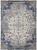 2' x 3' Gray and Ivory Medallion Power Loom Distressed Area Rug