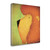 Lion Wow 1 Wrapped Canvas Print Living Room Wall Art