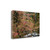 Dogwoods And Sequoia 4 Wrapped Canvas Print Living Room Wall Art