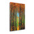 Colors Of Fall II Wrapped Canvas Print Living Room Wall Art