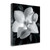 Magnolia 2 Wrapped Canvas Print Living Room Wall Art