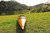 24" X 177" X 13.5" Wooden Kayak