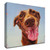"Follow Your Nose 5" Wrapped Canvas Print Wall Art