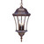Three Light Dark Brown Carousel Lantern Hanging Light