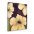 Blooms I Wrapped Canvas Print Living Room Wall Art