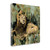 Heart Of The Jungle Ii Wrapped Canvas Print Wall Art