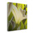 Lily Green 1 Wrapped Canvas Print Living Room Wall Art