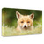 "Bad Fur Day" Wrapped Canvas Print Wall Art