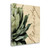 Beauty 3 Wrapped Canvas Print Wall Art