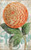 Orange Zinnia Flower Wall Art