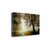 The Fog 2 Wrapped Canvas Print Wall Art