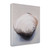 Old Man Of The Sea 2 Wrapped Canvas Print Living Room Wall Art