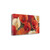 Poppies Bloom I Wrapped Canvas Print Living Room Wall Art