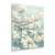 Dogwood Blossoms II Wrapped Canvas Print Living Room Wall Art