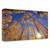 "Winter Aspens" Wrapped Canvas Print Wall Art
