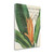 Botanique Tropicale II Wrapped Canvas Print Living Room Wall Art