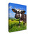 It's In The Milk 1 Wrapped Canvas Print Living Room Wall Art
