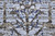 Homeroots Home Decor 2 X 3 Inch Abstract Stain Resistant Area Rug, Blue Gray and Taupe