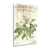 Magnolia De Printemps 2 Wrapped Canvas Print Living Room Wall Art