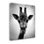 Giraffe 8 Wrapped Canvas Print Living Room Wall Art