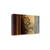 Journey To Tai Shan 3 Wrapped Canvas Print Wall Art