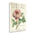 Pivoine De Printemps 1 Wrapped Canvas Print Living Room Wall Art