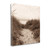 Dune Path 3 Wrapped Canvas Print Living Room Wall Art