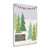 Most Wonderful Time Of The Year 5 Wrapped Canvas Print Living Room Wall Art