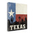 Texas 2 Wrapped Canvas Print Living Room Wall Art