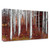 "Fall Birches" Wrapped Canvas Print Wall Art