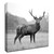 "Proud Deer" Wrapped Canvas Print Wall Art