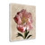 Peony I Wrapped Canvas Print Living Room Wall Art