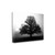 Tree In Mist 2 Wrapped Canvas Print Living Room Wall Art