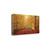 Autumn Dream 4 Wrapped Canvas Print Wall Art
