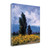Golden Age 6 Wrapped Canvas Print Wall Art