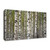 Spring Birch 3 Wrapped Canvas Print Wall Art