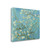 Almond Blossoms 1890 Wrapped Canvas Print Wall Art