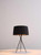18" X 18" X 29.5" Black Carbon Steel Table Lamp