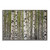 Spring Birch 2 Silver Wrapped Canvas Print Wall Art
